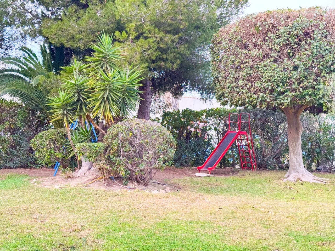 2 Zimmer Apartment zu verkaufen in Torrevieja mit Pool - 139.900 € (Ref: 9449275)