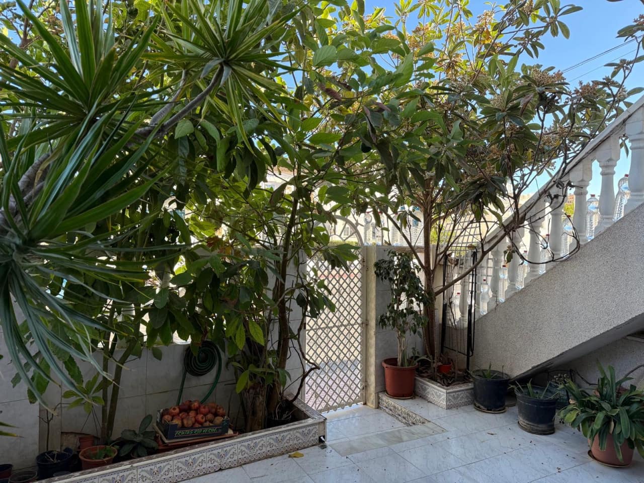 1 chambre Villa/Maison à vendre à Torrevieja - 157 500 € (Ref: 9460596)