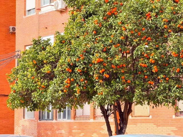 3 sovrum Lägenhet till salu i Playa del Acequión, Torrevieja - 139 000 € (Ref: 9566831)