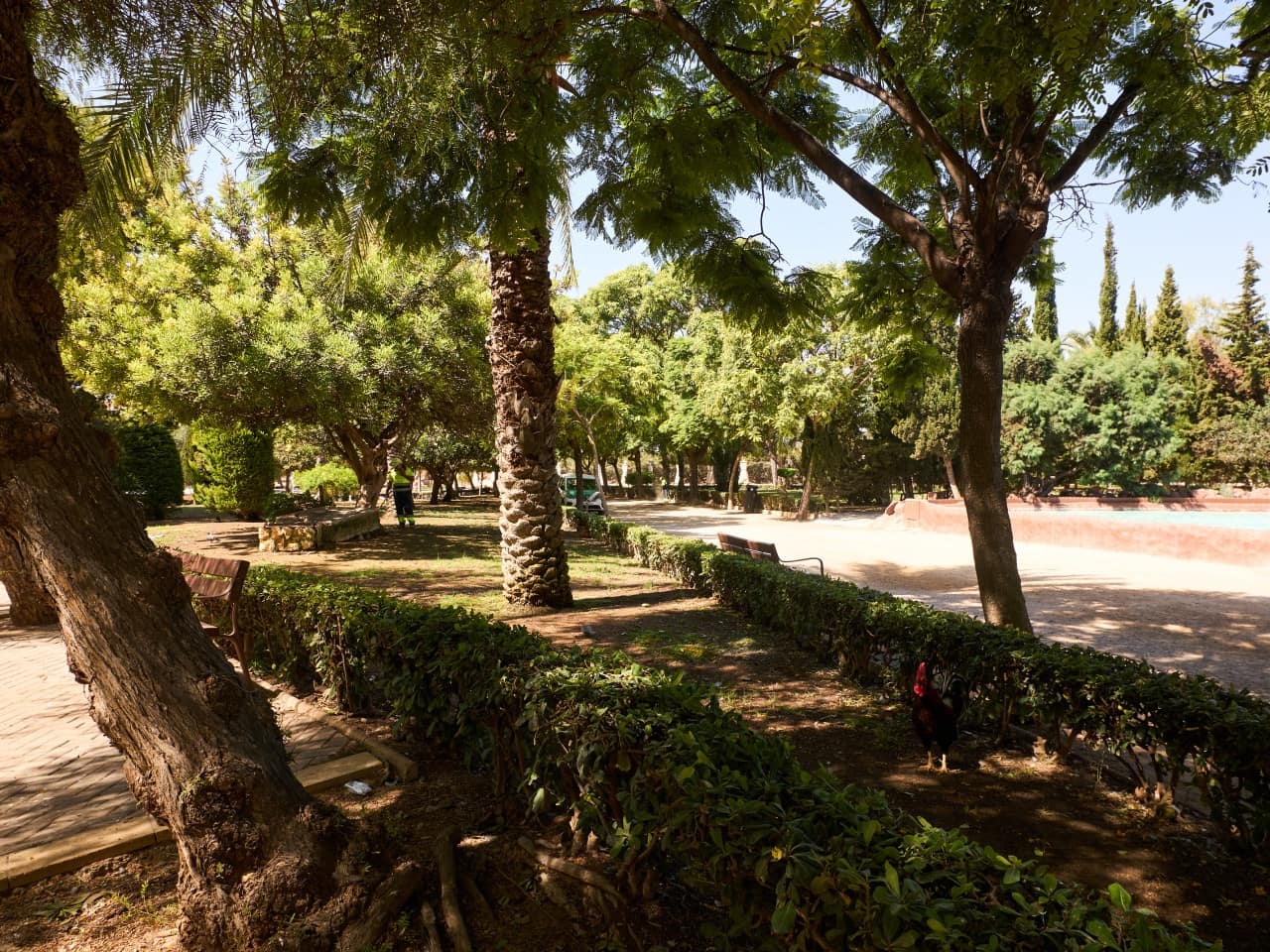 2 quarto Apartamento para venda em Torrevieja com piscina - 128 000 € (Ref: 9593304)