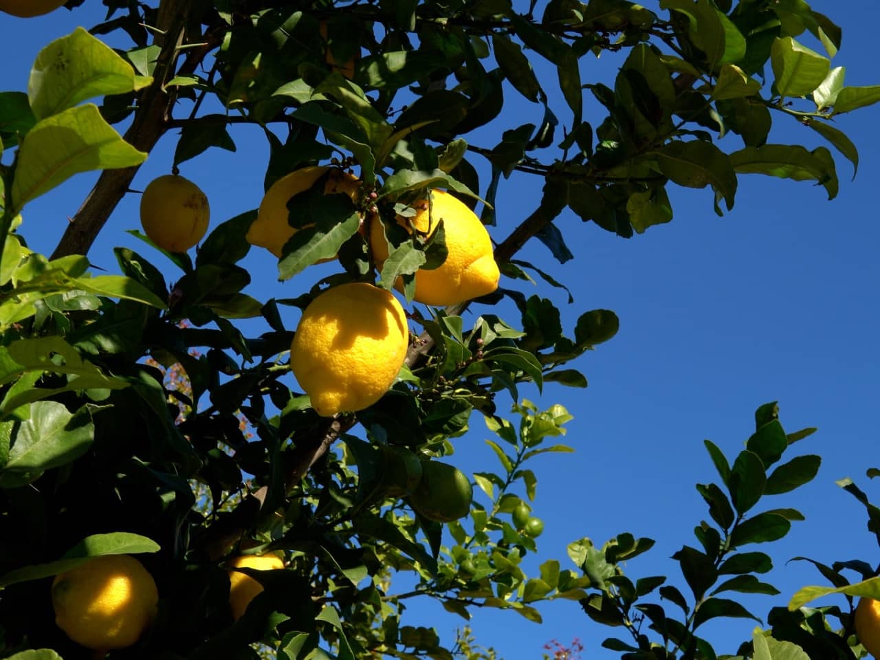 5 slaapkamer Villa te koop in Benahavis met zwembad garage - € 635.000 (Ref: 9625147)