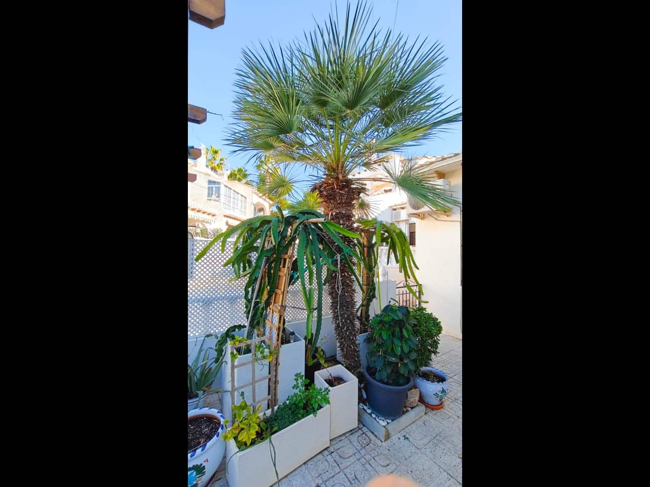 2 sovrum Villa till salu i Torrevieja med pool - 210 000 € (Ref: 9654307)