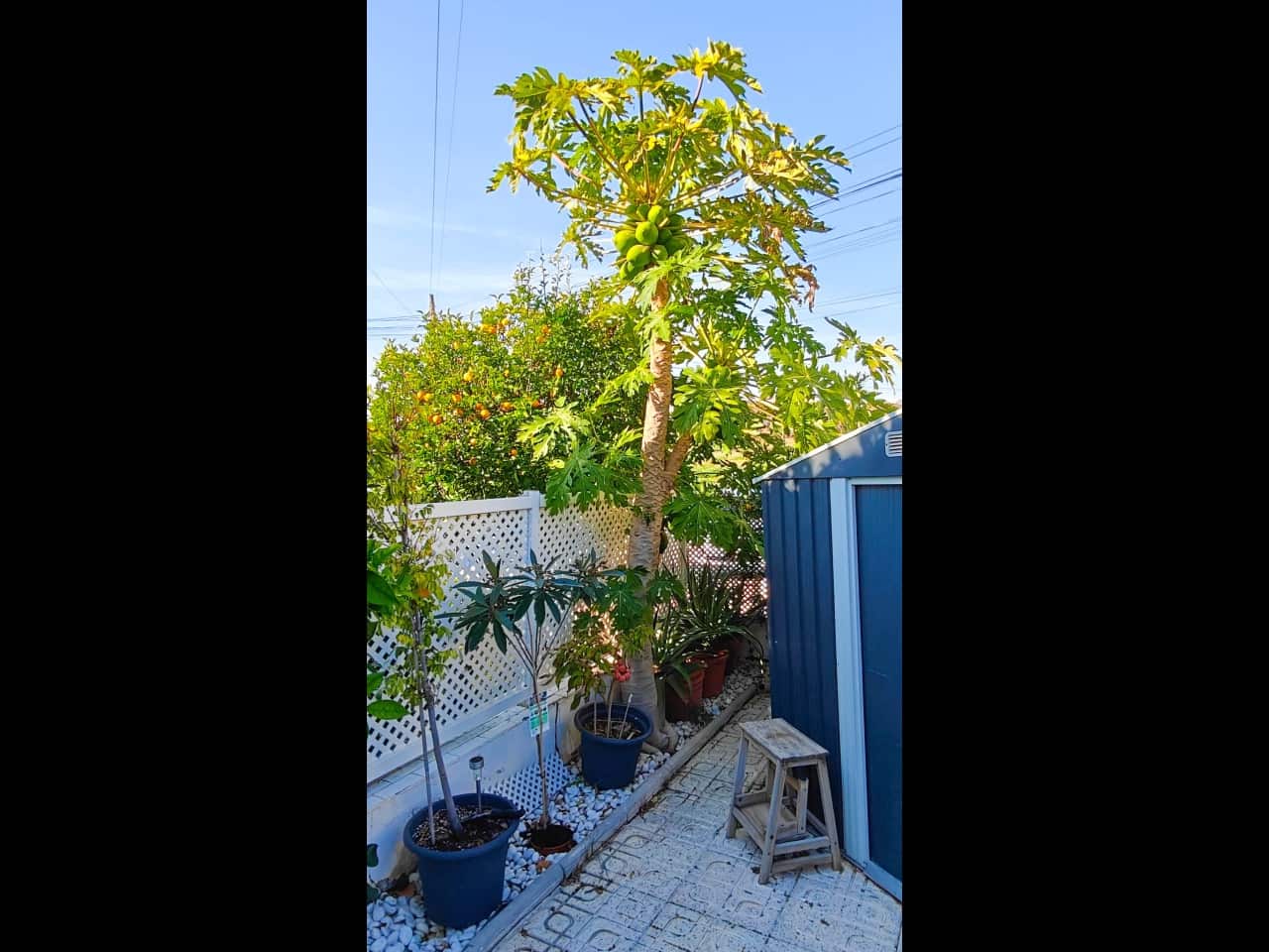 2 sovrum Villa till salu i Torrevieja med pool - 210 000 € (Ref: 9654307)