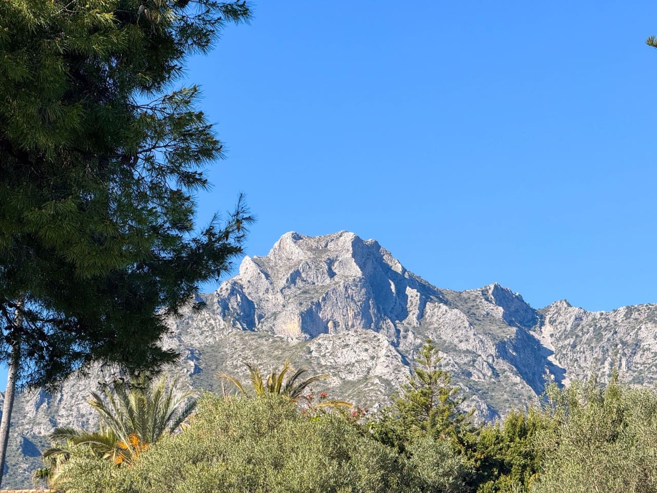 Terreno Não Urbanizado para venda em Marbella - 2 285 000 € (Ref: 9679333)