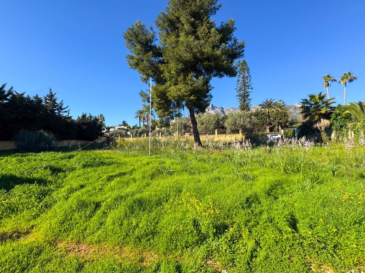 Terreno Não Urbanizado para venda em Marbella - 2 285 000 € (Ref: 9679333)