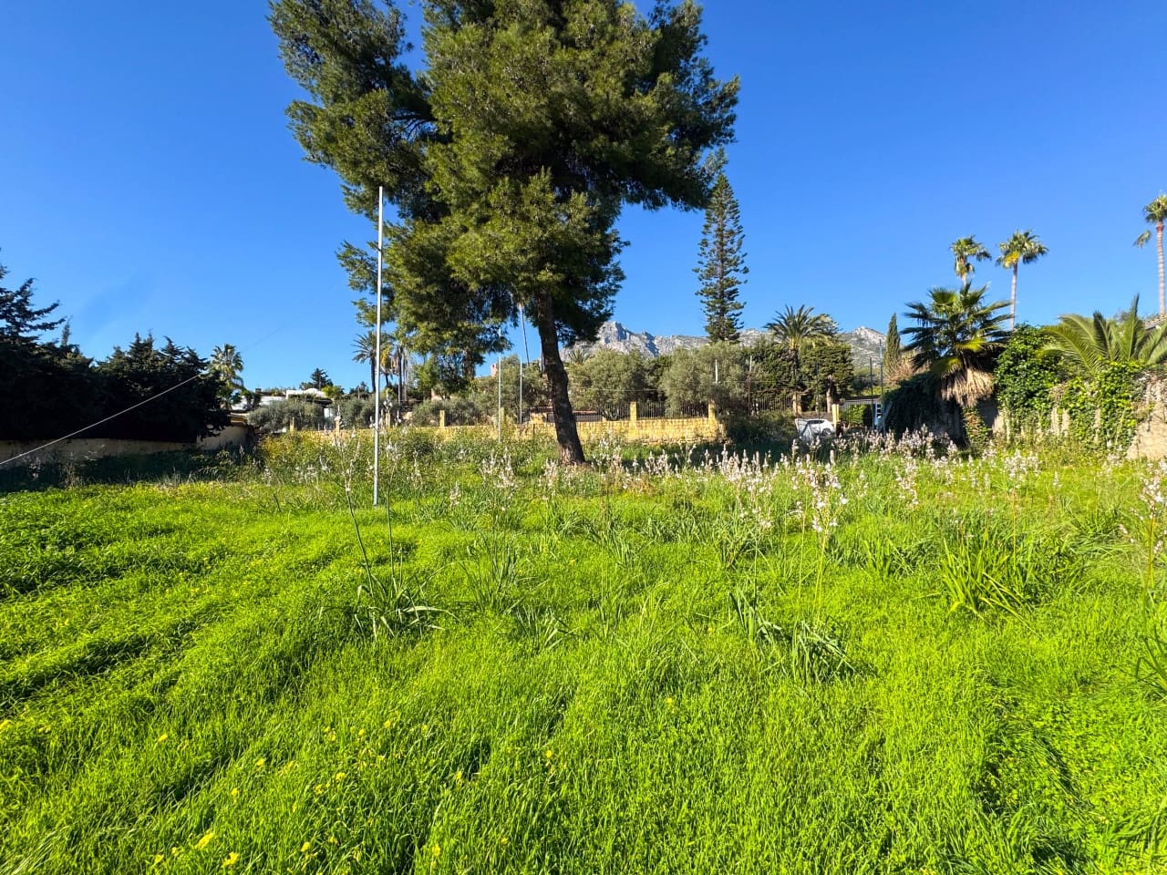 Terreno Não Urbanizado para venda em Marbella - 2 285 000 € (Ref: 9679333)