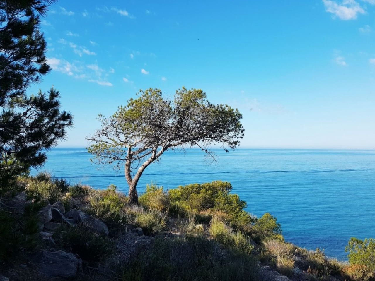 1 slaapkamer Appartement te koop in La Villajoyosa / Vila Joiosa met zwembad garage - € 340.000 (Ref: 9708079)