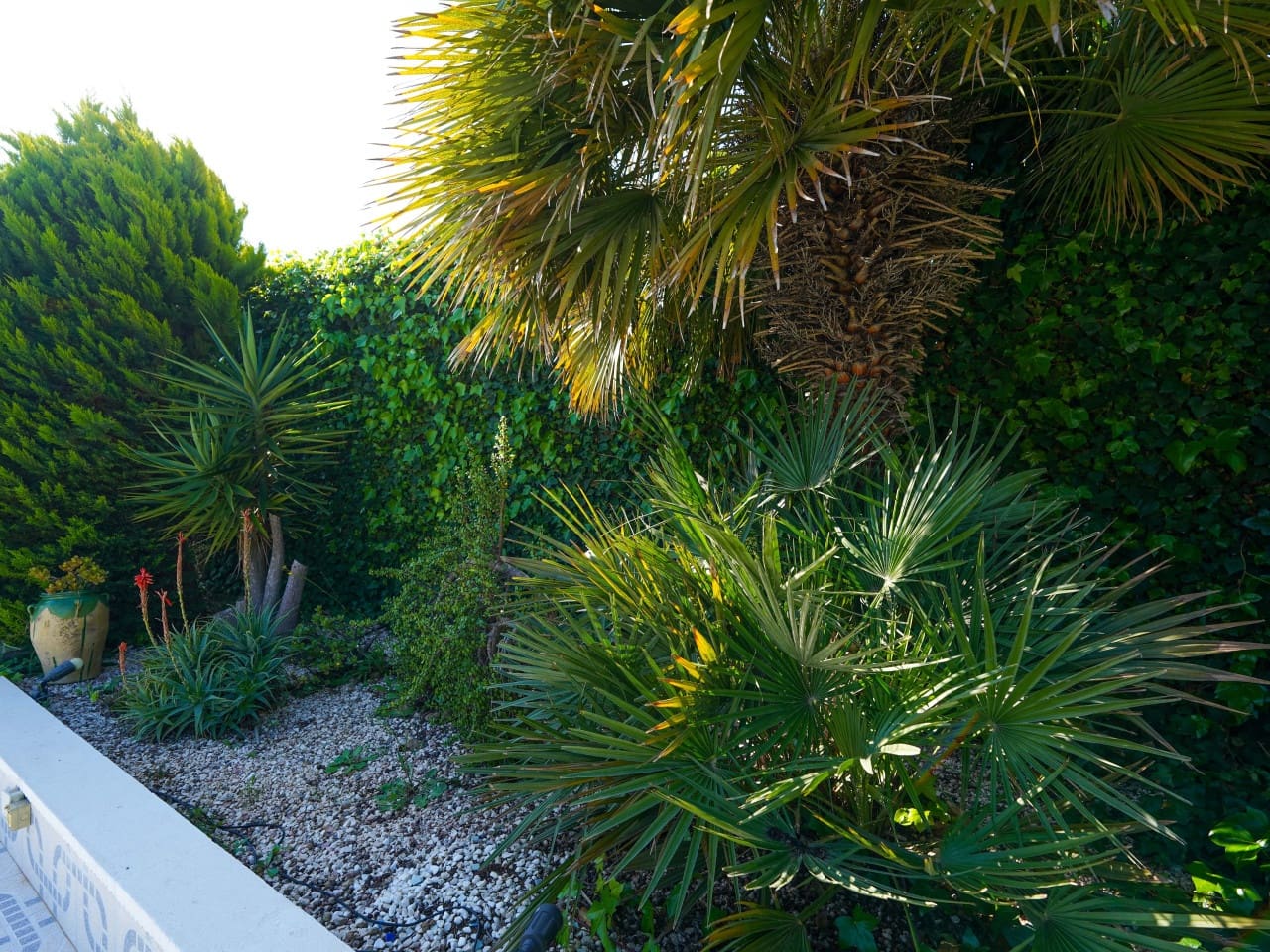 3 bedroom Villa for sale in Los Balcones with pool garage - € 399,000 (Ref: 9726204)