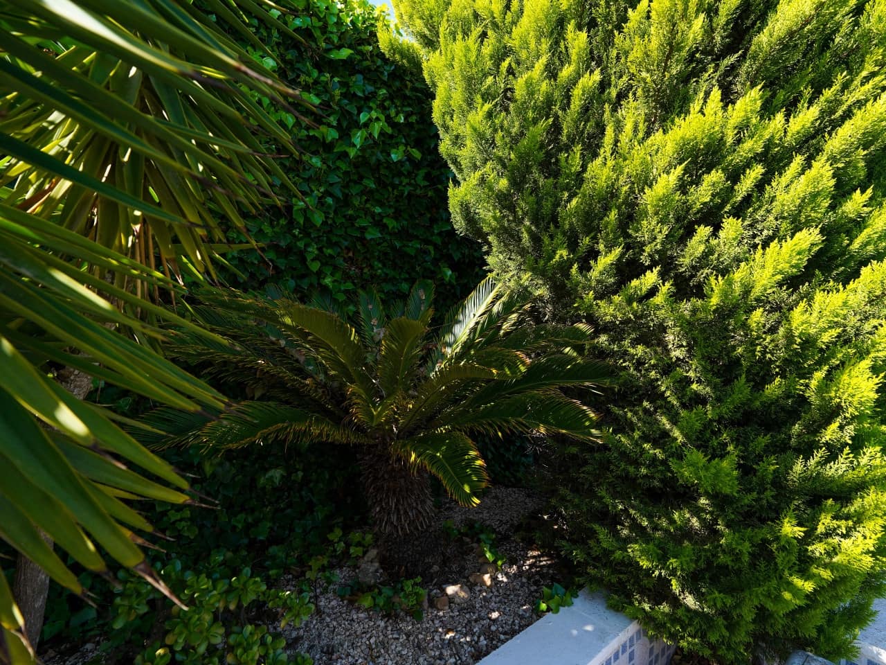 3 bedroom Villa for sale in Los Balcones with pool garage - € 399,000 (Ref: 9726204)