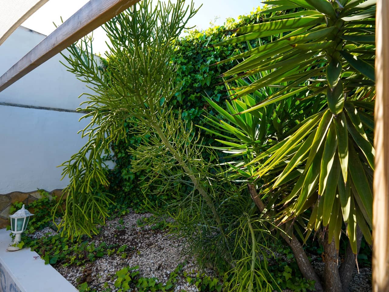 3 bedroom Villa for sale in Los Balcones with pool garage - € 399,000 (Ref: 9726204)