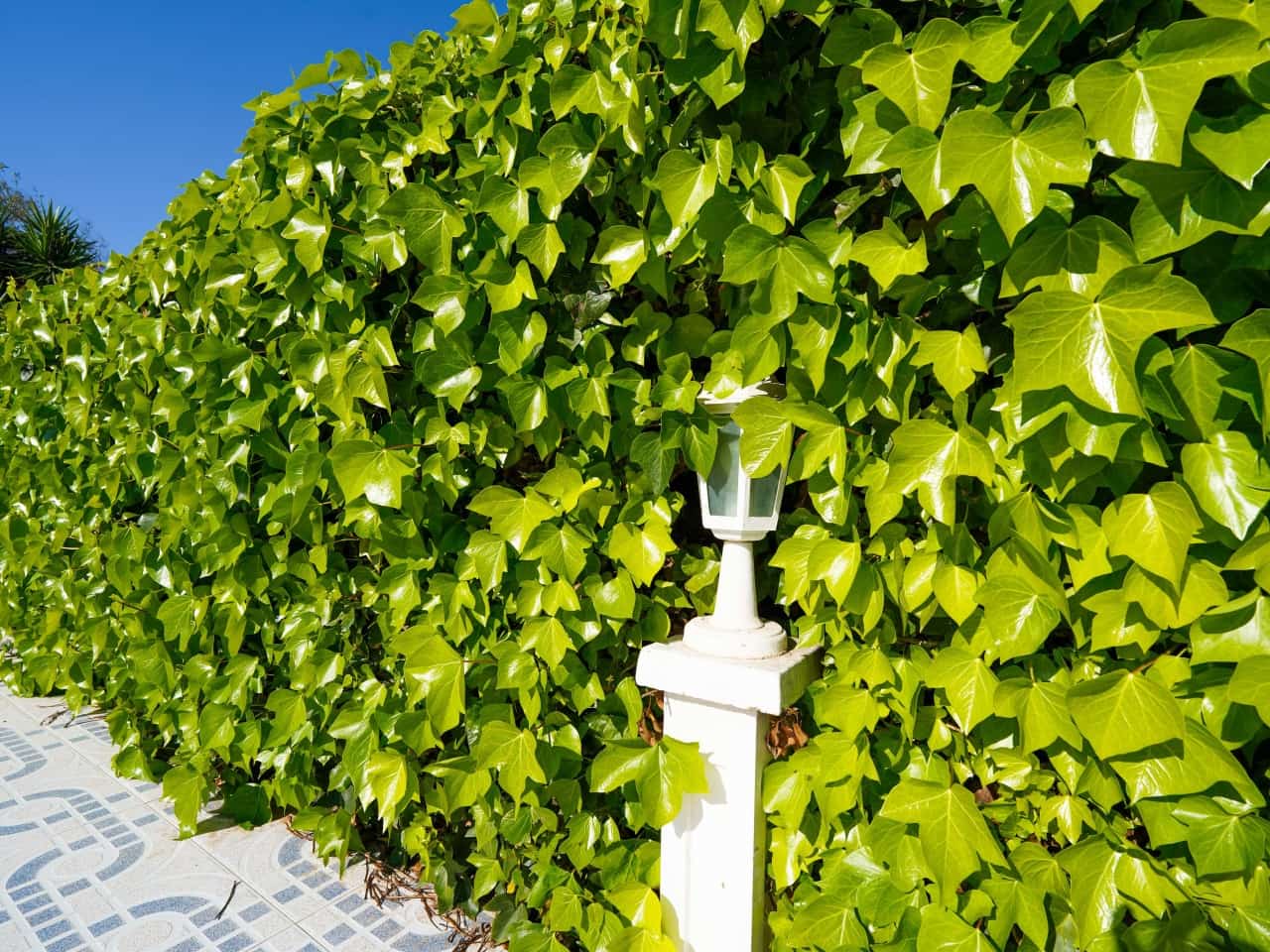 3 bedroom Villa for sale in Los Balcones with pool garage - € 399,000 (Ref: 9726204)