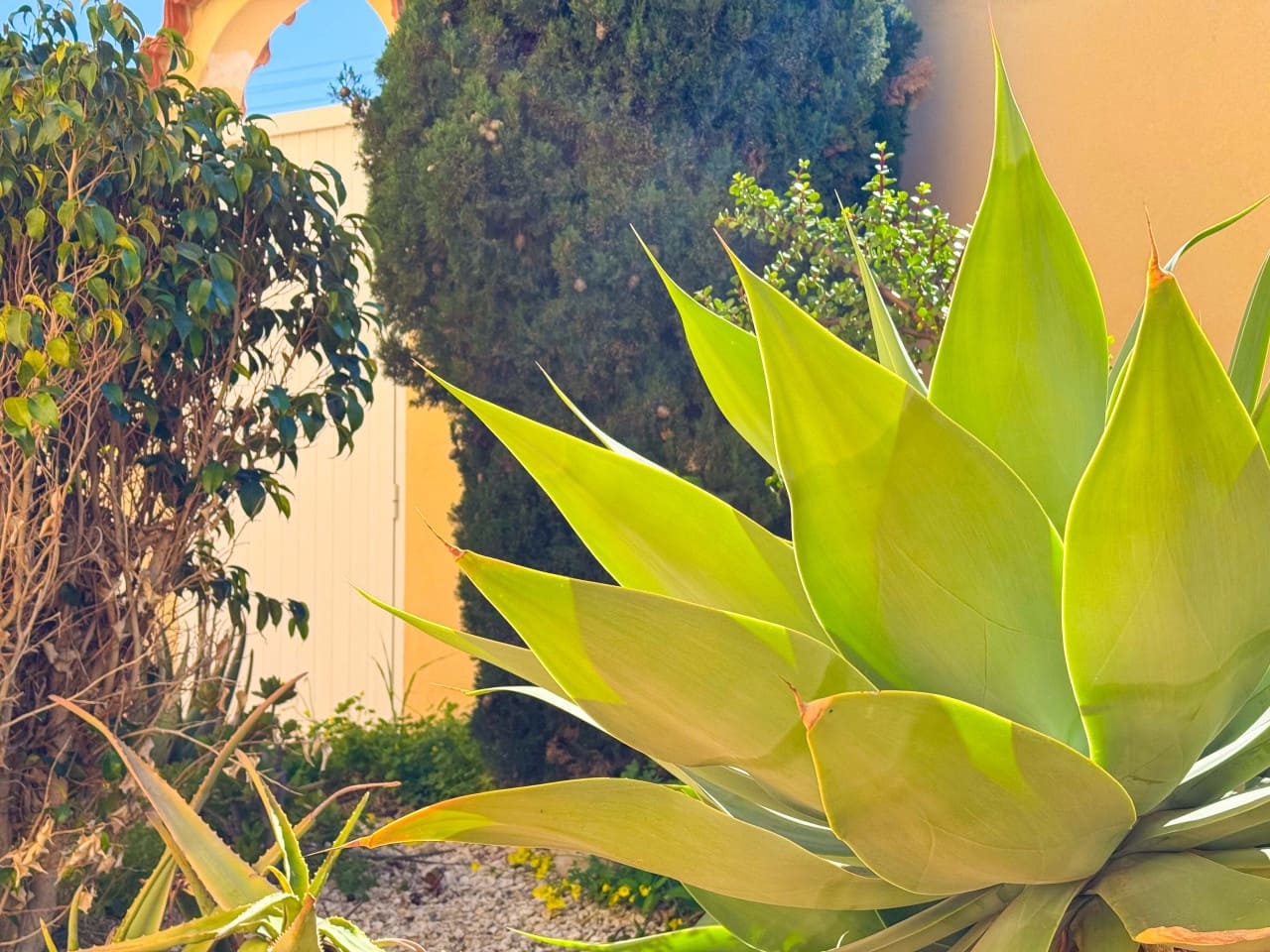 4 bedroom Villa for sale in Torrevieja with pool garage - € 859,000 (Ref: 9743188)