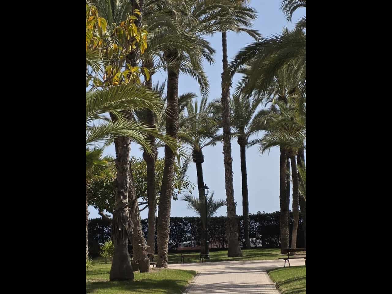 1 slaapkamer Appartement te koop in Torrevieja met zwembad - € 170.000 (Ref: 9780781)