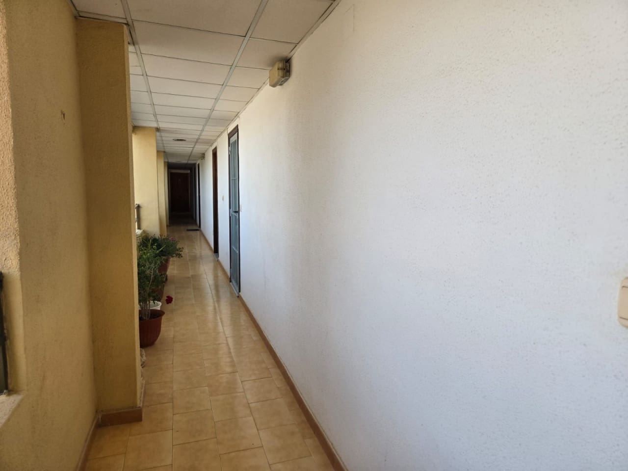 Lägenhet till salu i Torrevieja - 85 000 € (Ref: 9800043)