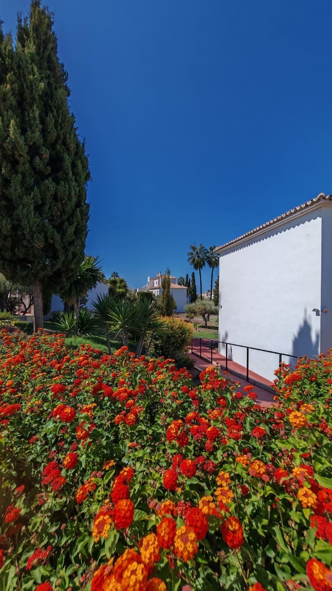 1 chambre Appartement à vendre à Torrox Park avec piscine - 249 000 € (Ref: 10094156)