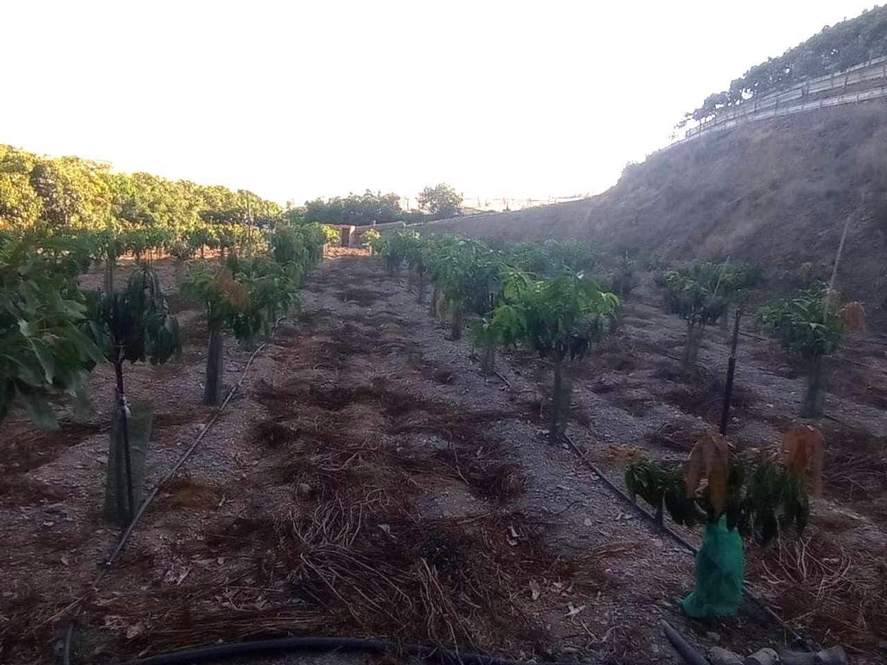 Villa for sale in Algarrobo with garage - € 339,000 (Ref: 10118710)