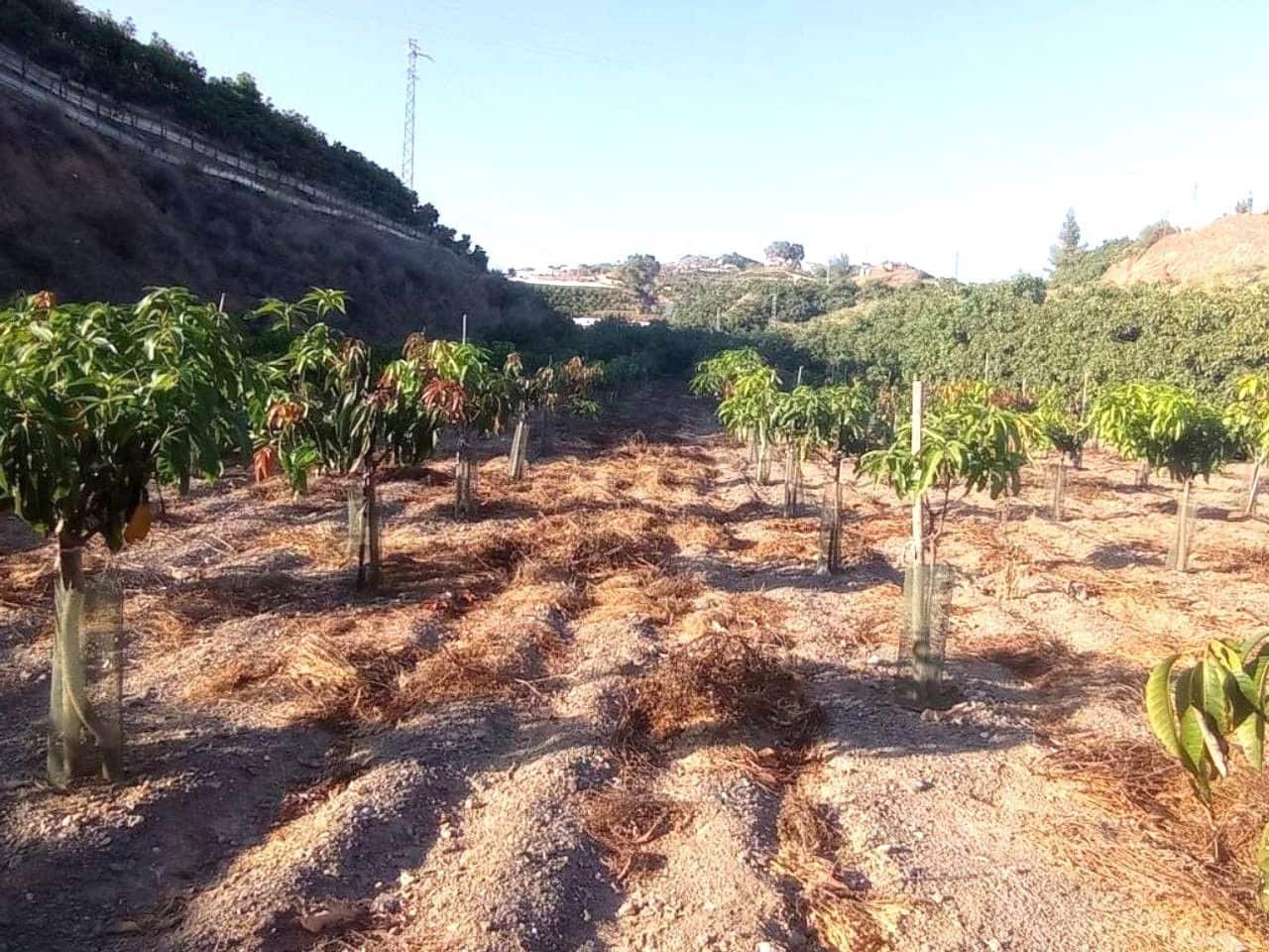 Villa for sale in Algarrobo with garage - € 339,000 (Ref: 10118710)