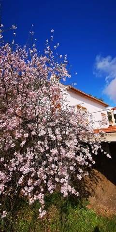 1 chambre Finca/Maison de Campagne à vendre à Torrox avec garage - 180 000 € (Ref: 4093516)