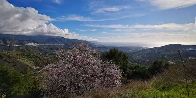 1 chambre Finca/Maison de Campagne à vendre à Torrox avec garage - 180 000 € (Ref: 4093516)