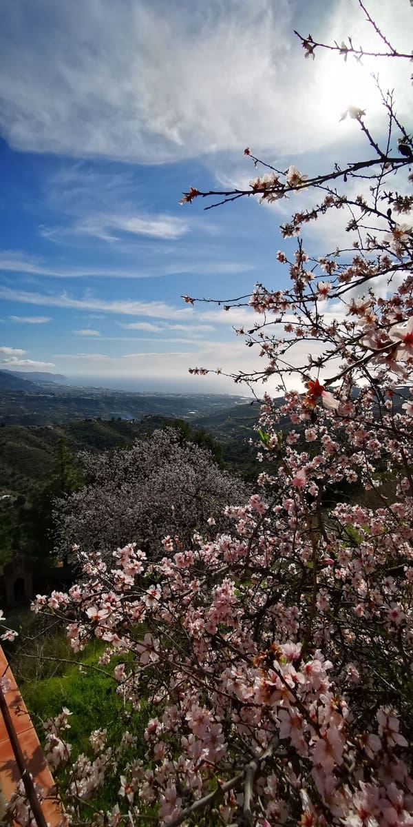 1 chambre Finca/Maison de Campagne à vendre à Torrox avec garage - 180 000 € (Ref: 4093516)