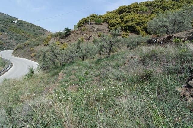 1 bedroom Finca/Country House for sale in Torrox - € 135,000 (Ref: 6013610)