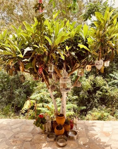 Chalet de 3 habitaciones en Torrox-Costa, Torrox en venta con piscina garaje - 425.000 € (Ref: 9097861)