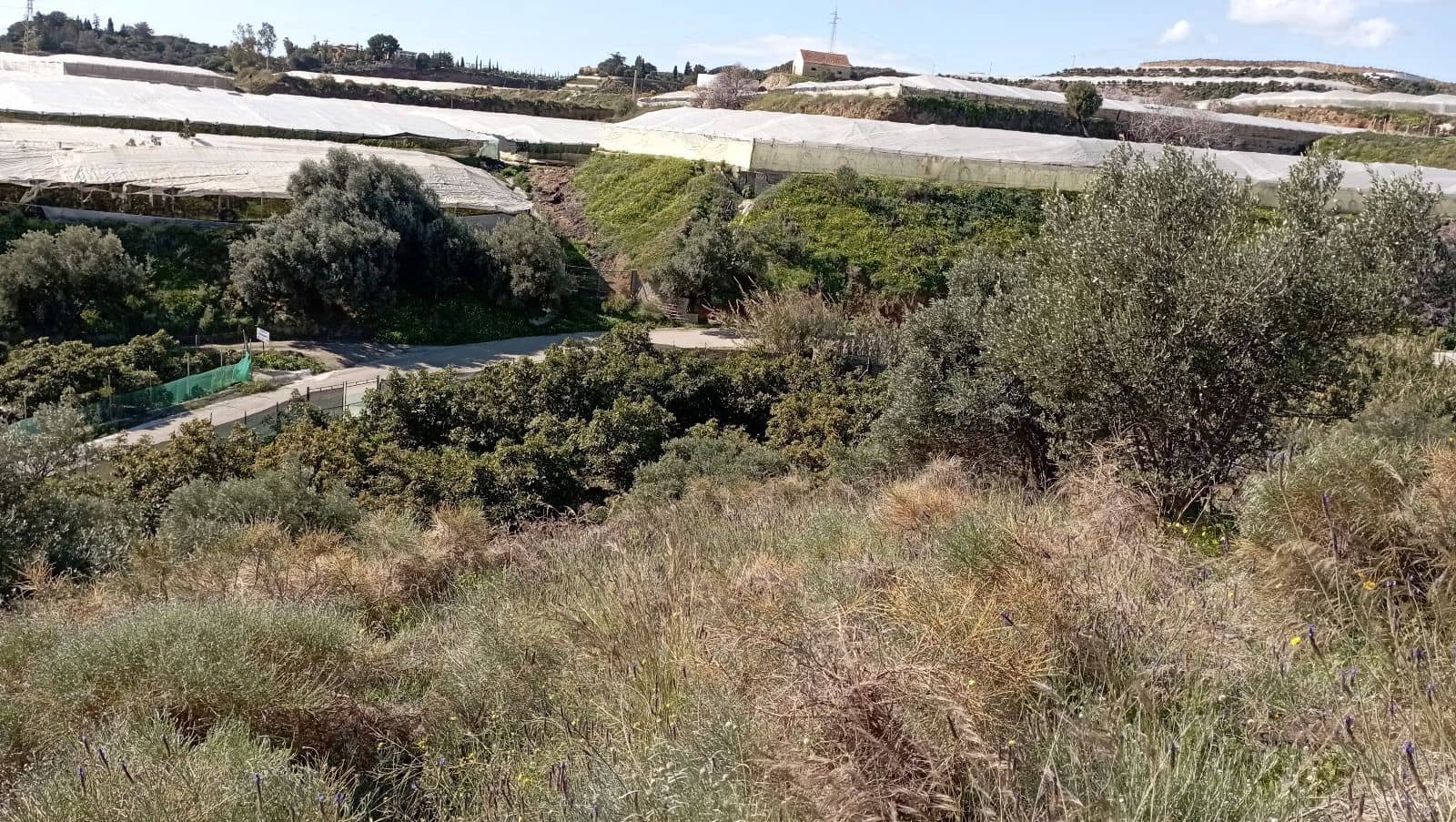 Finka/Dom wiejski na sprzedaż w Torrox-Costa - 64 000 € (Ref: 9111835)