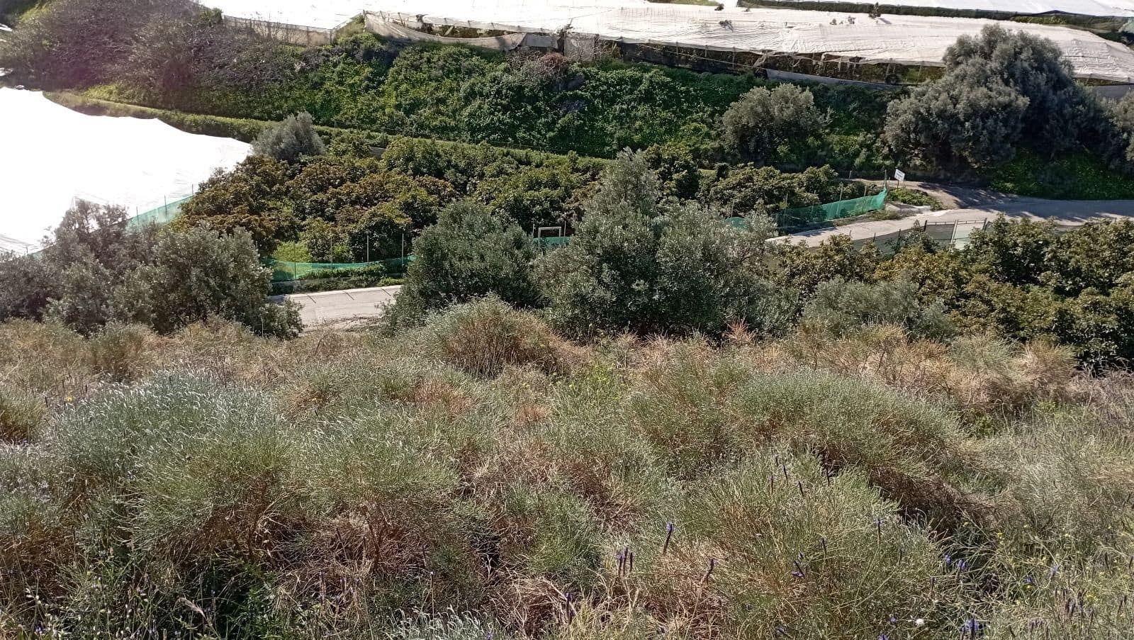 Finka/Dom wiejski na sprzedaż w Torrox-Costa - 64 000 € (Ref: 9111835)