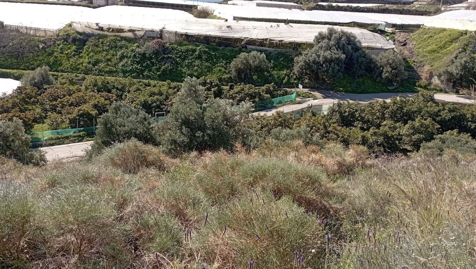 Finka/Dom wiejski na sprzedaż w Torrox-Costa - 64 000 € (Ref: 9111835)