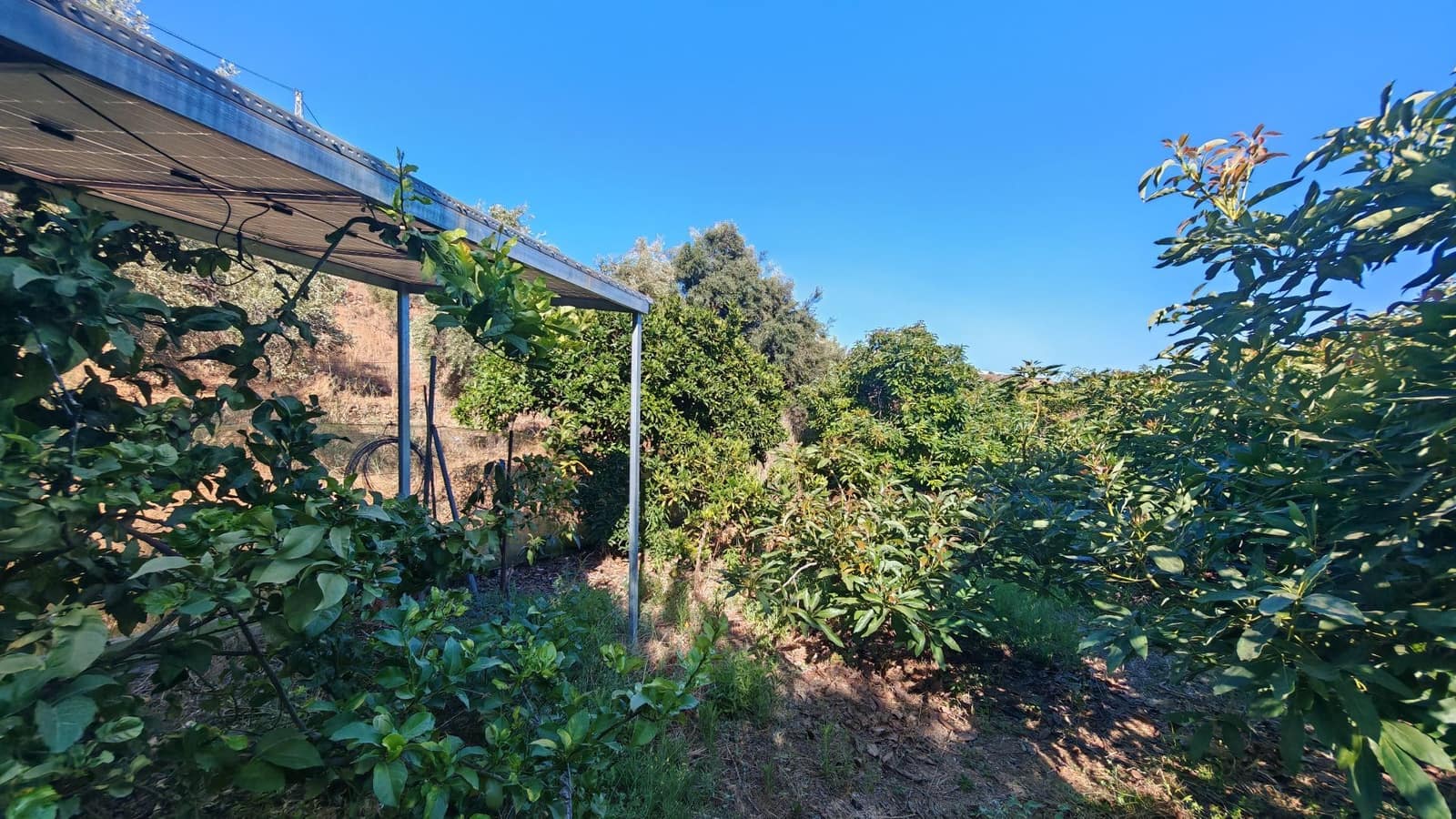 Finca/Landgut zu verkaufen in Torrox-Costa - 90.000 € (Ref: 9111838)
