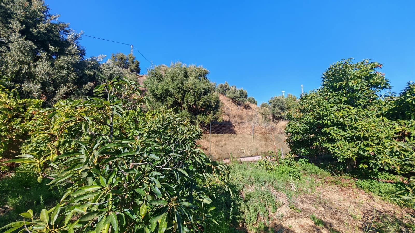Finca/Landgut zu verkaufen in Torrox-Costa - 90.000 € (Ref: 9111838)