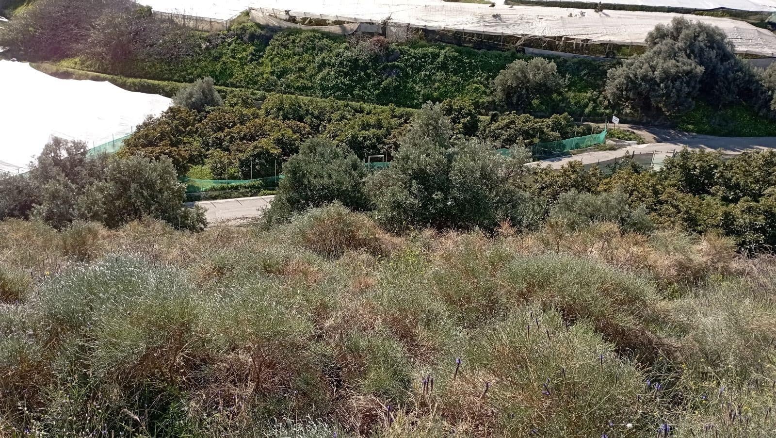 Finca/Landehus til salg i Torrox-Costa - € 85.000 (Ref: 9263986)