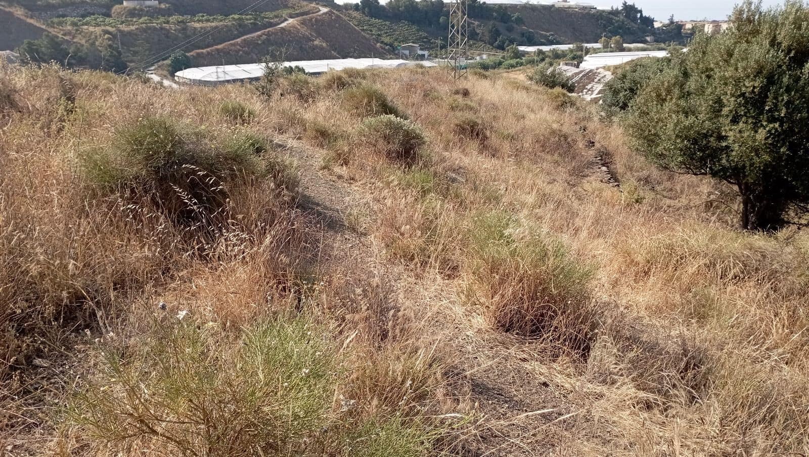 Finca/Landehus til salg i Torrox-Costa - € 85.000 (Ref: 9263986)