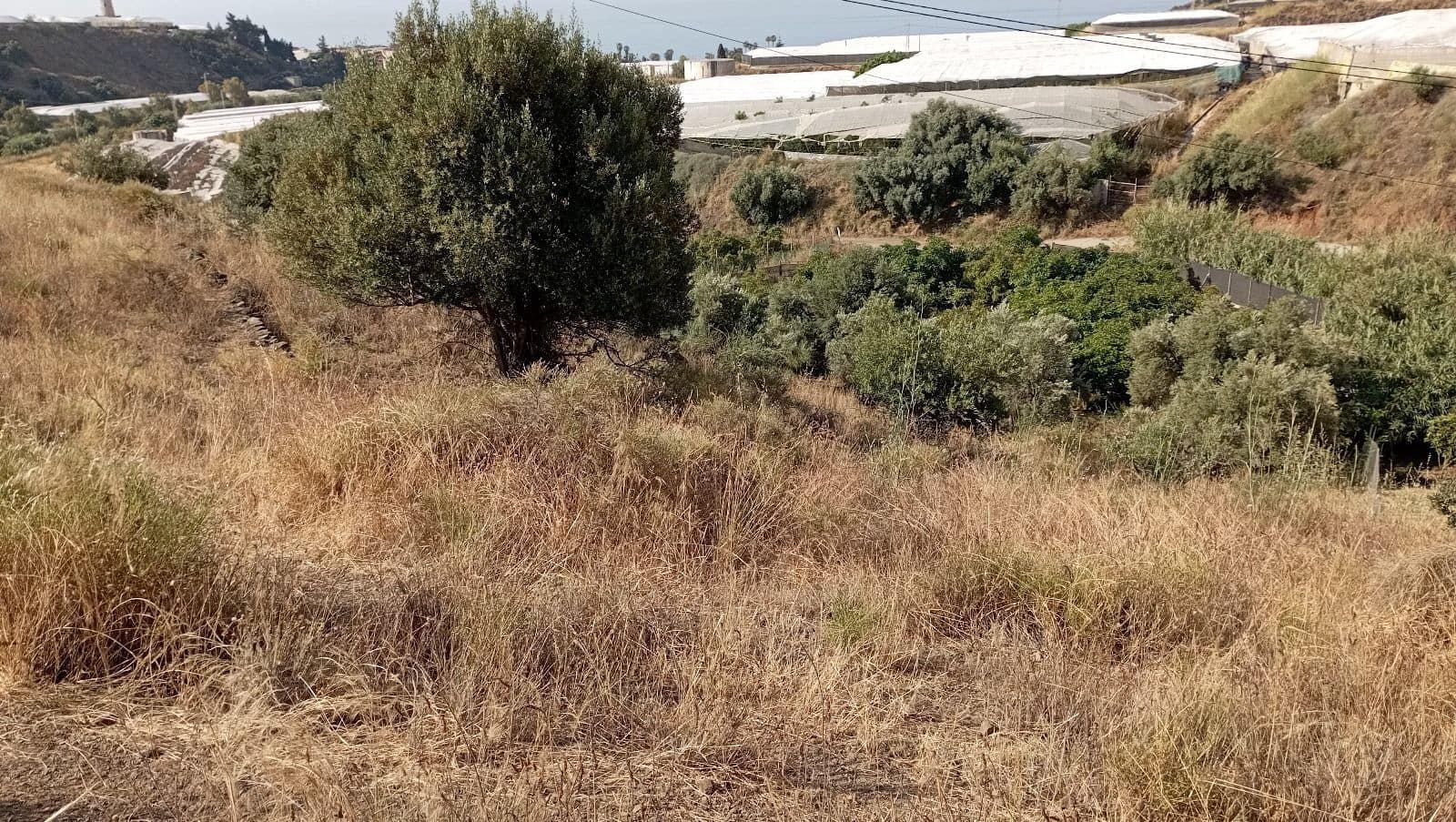 Finca/Landehus til salg i Torrox-Costa - € 85.000 (Ref: 9263986)