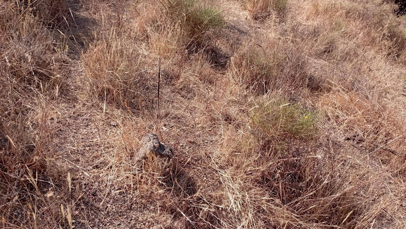 Finca/Landehus til salg i Torrox-Costa - € 85.000 (Ref: 9263986)