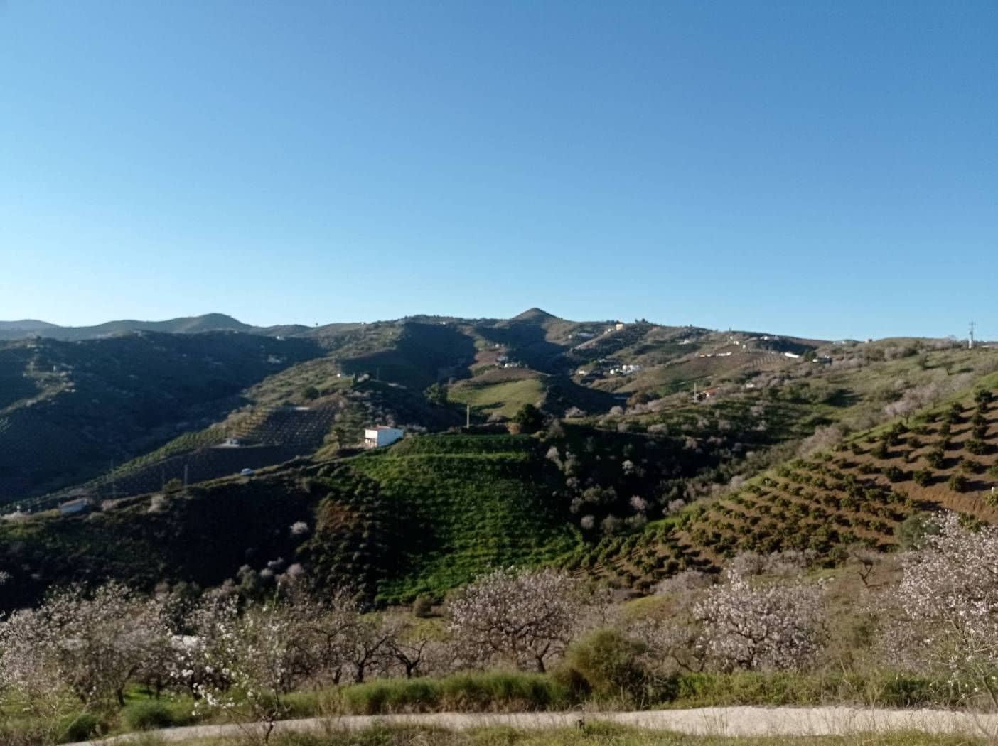 Finka/Dom wiejski na sprzedaż w Iznate - 56 000 € (Ref: 9275814)