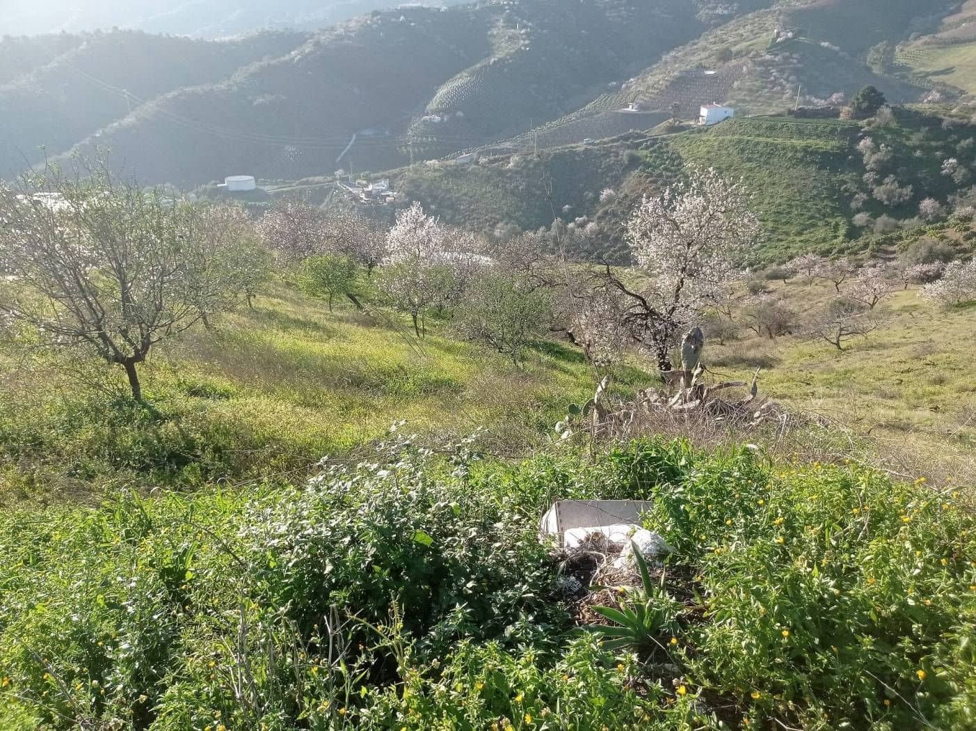 Finka/Dom wiejski na sprzedaż w Iznate - 56 000 € (Ref: 9275814)