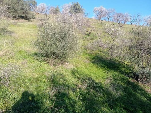 Finka/Dom wiejski na sprzedaż w Iznate - 56 000 € (Ref: 9275814)