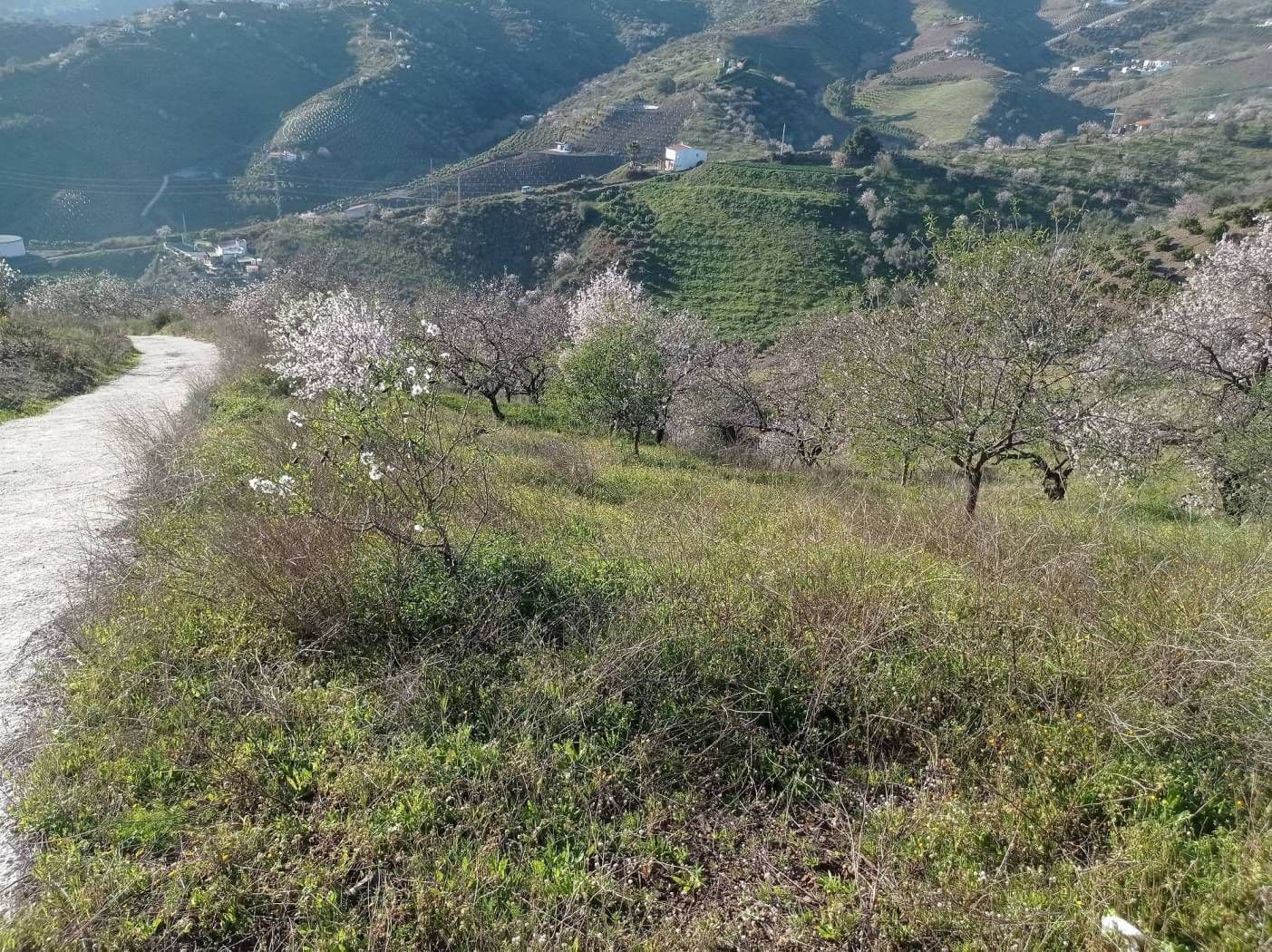 Finka/Dom wiejski na sprzedaż w Iznate - 56 000 € (Ref: 9275814)