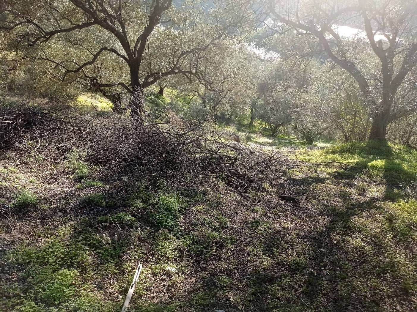 Finka/Dom wiejski na sprzedaż w Iznate - 56 000 € (Ref: 9275814)