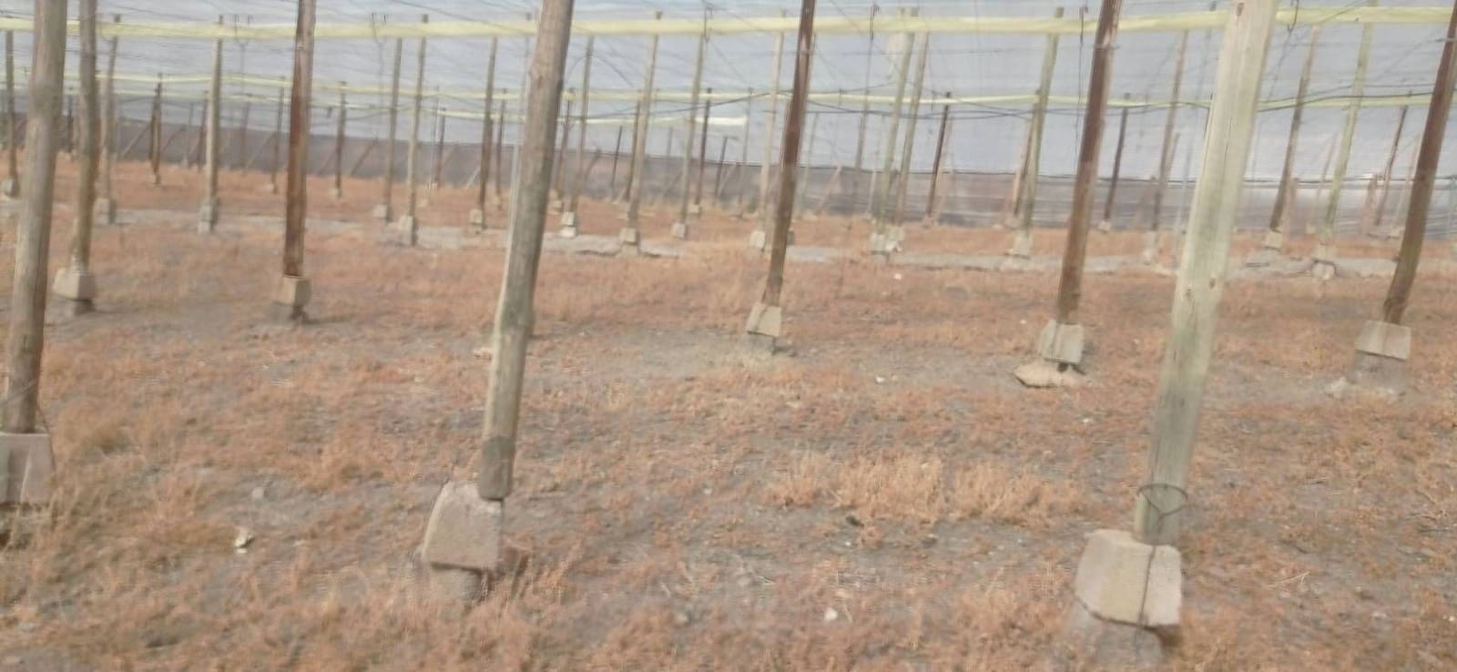 Finca/Herregård til salgs i Salobrena - € 549 000 (Ref: 9275815)