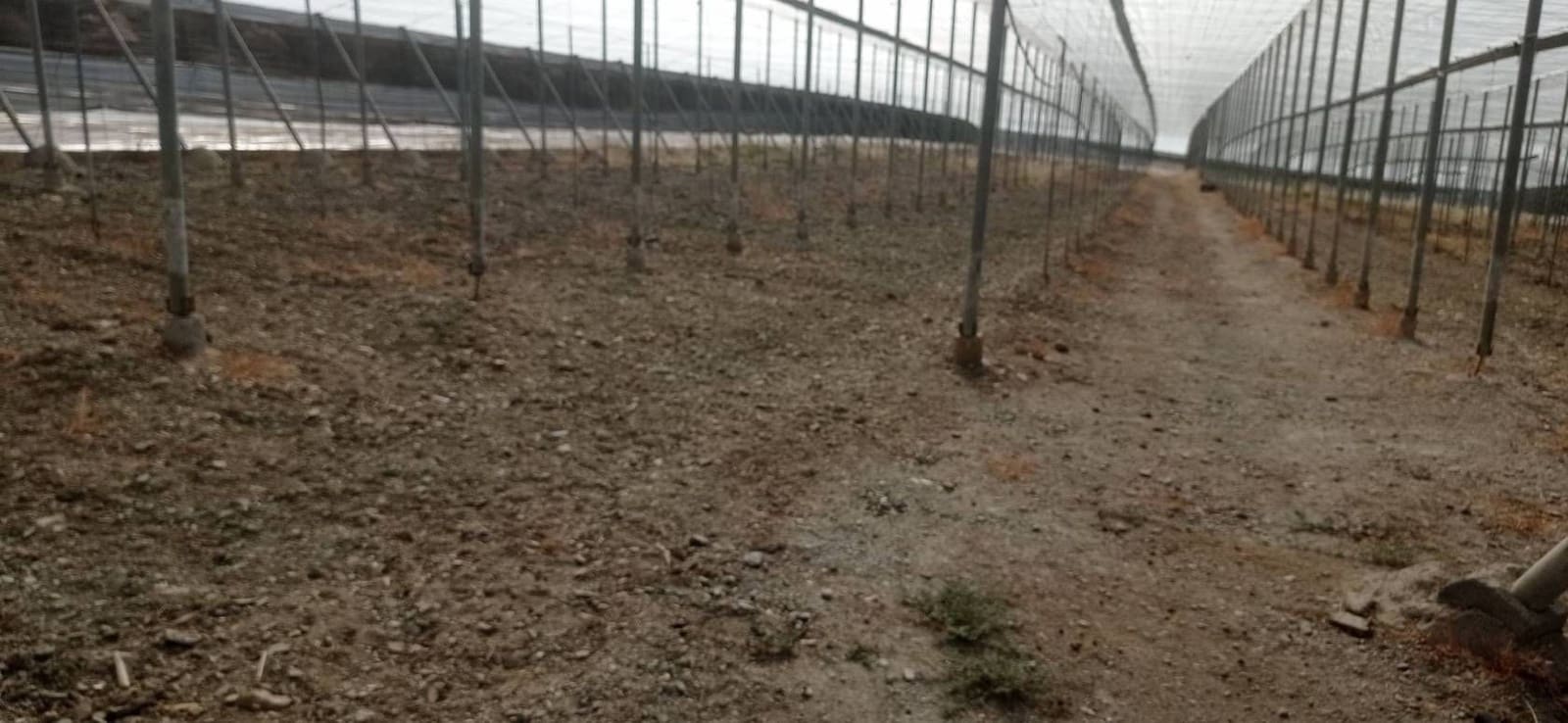 Finca/Herregård til salgs i Salobrena - € 549 000 (Ref: 9275815)