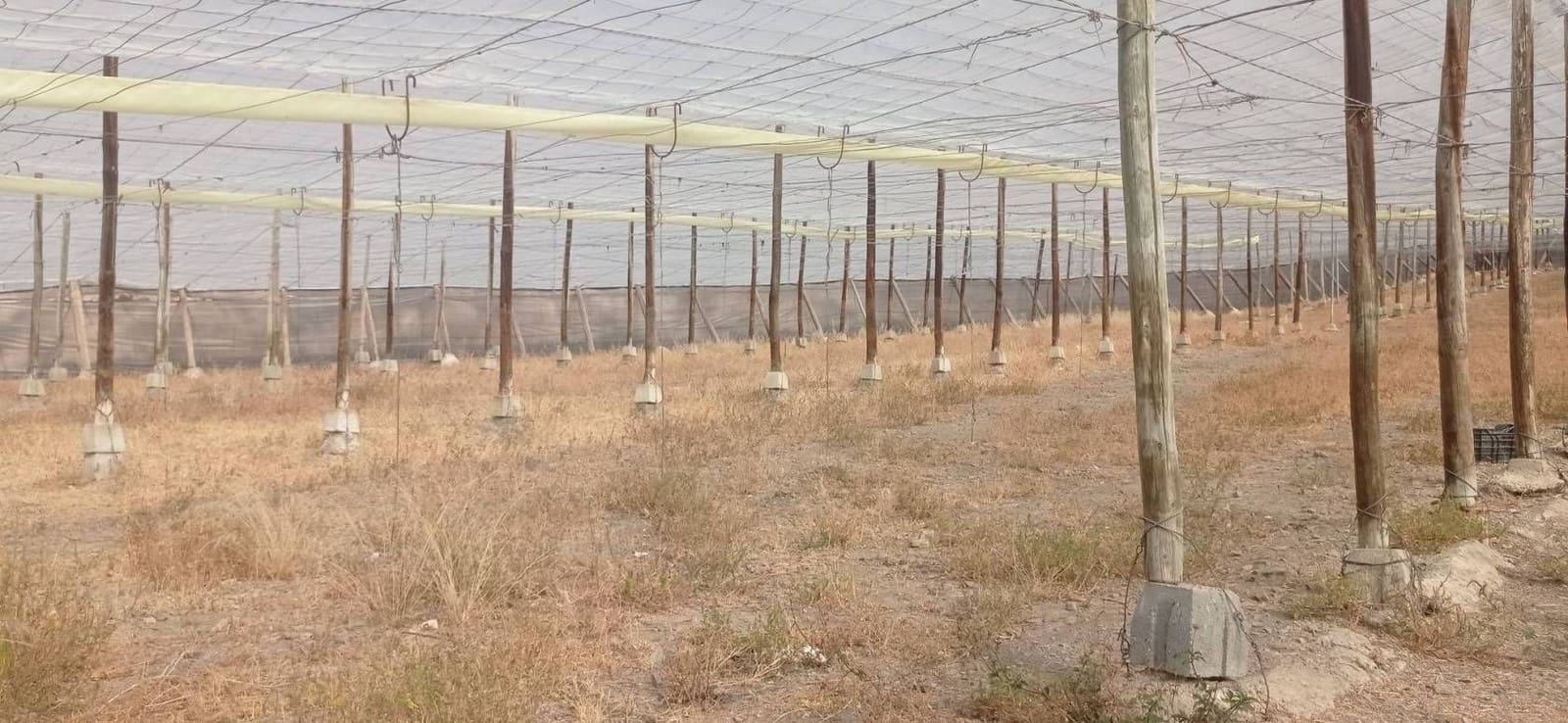 Finca/Herregård til salgs i Salobrena - € 549 000 (Ref: 9275815)