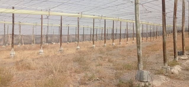 Quinta/Casa Rural para venda em Salobreña - 549 000 € (Ref: 9275815)