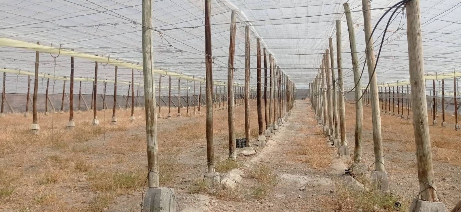 Finca/Herregård til salgs i Salobrena - € 549 000 (Ref: 9275815)