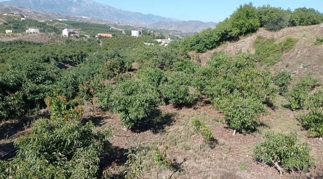 Finca/Casa di Campagna in vendita in Benamocarra - 159.900 € (Rif: 9280741)