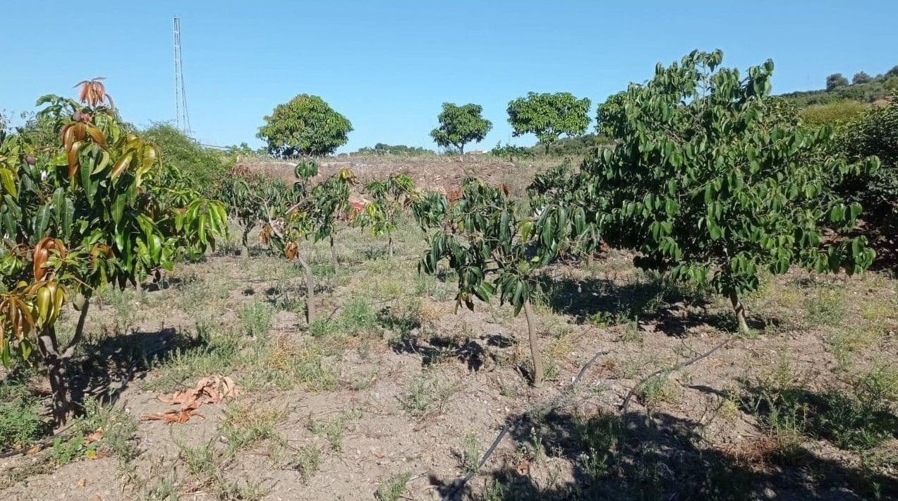 Finca/Landehus til salg i Benamocarra - € 159.900 (Ref: 9280741)