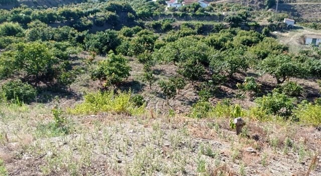 Finca/Casa di Campagna in vendita in Benamocarra - 159.900 € (Rif: 9280741)