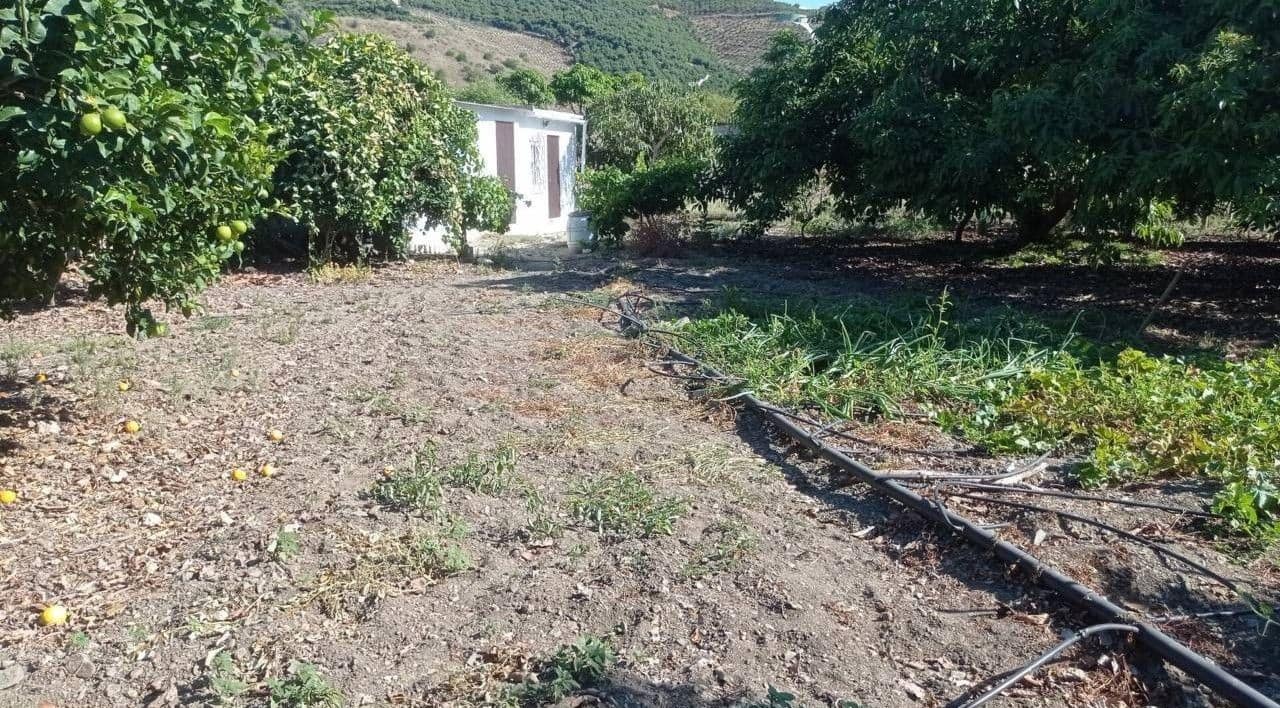 Finca/Landehus til salg i Benamocarra - € 159.900 (Ref: 9280741)