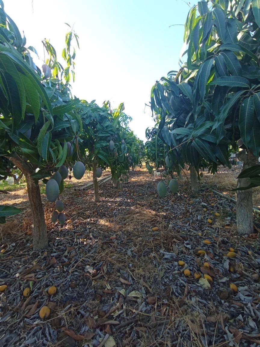 2 soverom Villa til salgs i Algarrobo med garasje - € 350 000 (Ref: 9290959)